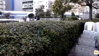 最佳磁力搜索天堂大学生活坐标秦皇岛